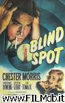 poster del film Blind Spot