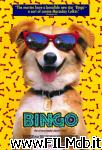 poster del film Bingo