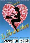 poster del film La flor de mi secreto