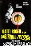 poster del film gatti rossi in un labirinto di vetro