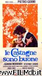 poster del film le castagne sono buone