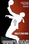 poster del film high flying bird
