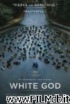 poster del film White God