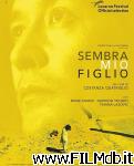 poster del film Sembra mio figlio