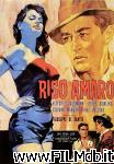 poster del film riso amaro