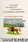 poster del film napoleon and samantha