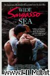 poster del film wide sargasso sea
