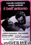 poster del film Il bell'Antonio