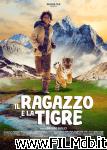 poster Il ragazzo e la tigre poster del film Il ragazzo e la tigre