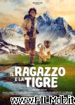 poster del film Il ragazzo e la tigre