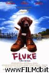 poster del film fluke