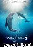 poster del film l'incredibile storia di winter il delfino 2