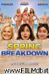 poster del film spring breakdown
