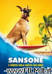 poster del film sansone