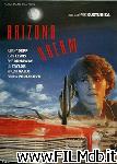 poster del film arizona dream