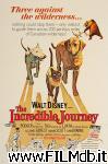 poster del film the incredible journey