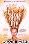 poster del film Blow Dry