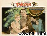 poster del film Tarzán y el león dorado