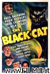 poster del film El gato negro