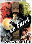 poster del film le furet