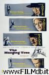 poster del film L'albero degli impiccati