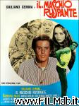 poster il maschio ruspante poster del film il maschio ruspante