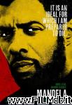 poster del film Mandela: Long Walk to Freedom