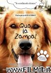 poster del film a dog's purpose