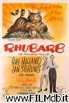 poster del film Il gatto milionario