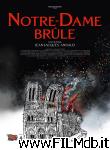 poster del film Arde Notre-Dame