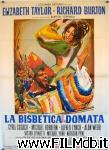 poster del film la bisbetica domata