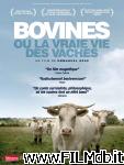 poster Bovines ou la vraie vie des vaches poster del film Bovines ou la vraie vie des vaches
