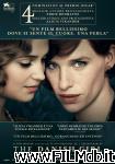 poster del film the danish girl