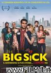 poster del film the big sick - il matrimonio si può evitare... l'amore no