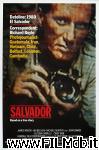 poster del film salvador