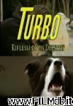 poster del film Riflessi di un delitto