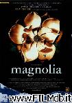 poster del film magnolia