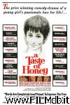 poster del film Sapore di miele