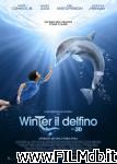 poster del film l'incredibile storia di winter il delfino