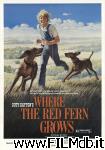 poster del film Where the Red Fern Grows