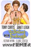 poster del film The Perfect Furlough