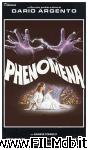 poster del film phenomena