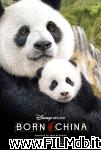 poster del film born in china