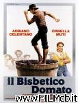 poster del film il bisbetico domato