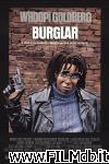 poster del film burglar