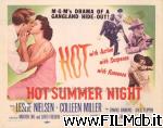 poster del film una calda notte d'estate