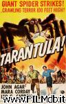 poster del film tarantola