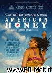 poster del film american honey