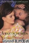 poster a walk on the moon - complice la luna poster del film a walk on the moon - complice la luna