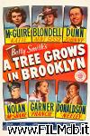 poster del film un albero cresce a brooklyn